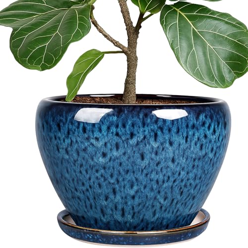 DEEPDREAM Deep Dream 10 Inch Plant Pot Ceramic Planter Pot Round Plant Pots for Indoor Plants Outdoor Large Flower Pot with Drainage Holes Trays Blue - Image 1