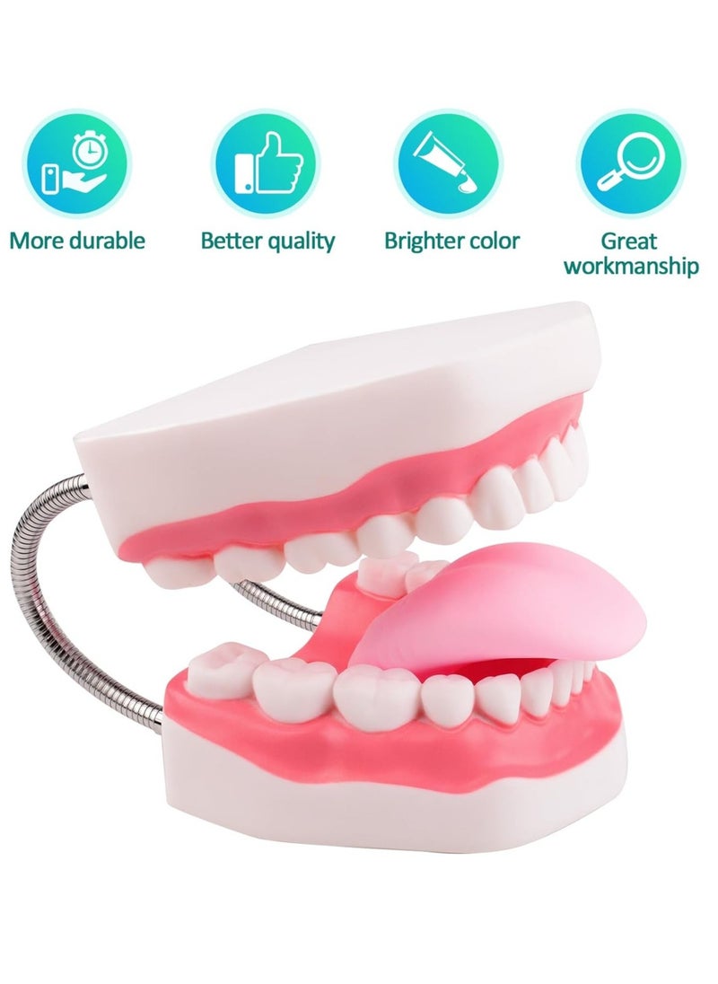 Ru syanl Mouth Model Metal Hinge for Speech Therapy Ideal Brushing Teaching Dental Teeth Model for Kids and Children  - Image 2
