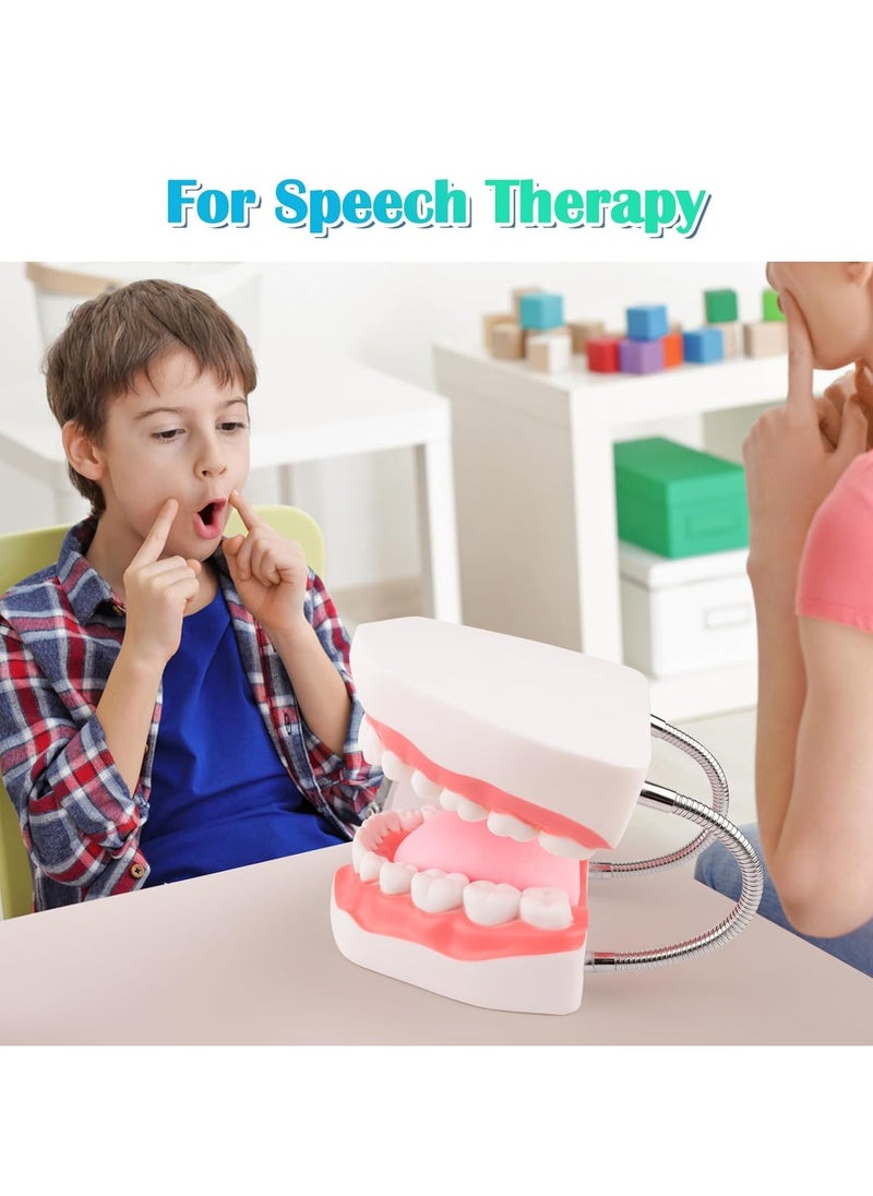 Ru syanl Mouth Model Metal Hinge for Speech Therapy Ideal Brushing Teaching Dental Teeth Model for Kids and Children  - Image 5