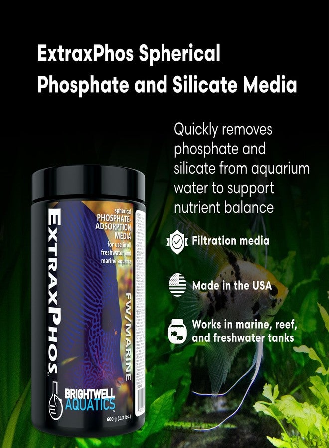 برايت ويل أكواتيكس وسائط برايتويل أكواتيكس إكستراكس فوس الكروية لإزالة سيليكات الفوسفات في أحواض الشعاب المرجانية المزروعة بالمياه العذبة، سريعة المفعول وعالية المسامية للتحكم في المغذيات، 3.2 كجم - Image 2