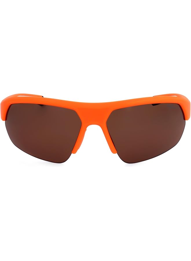 بولارويد نظارة شمسية للجنسين Pld 7048/S - Image 2