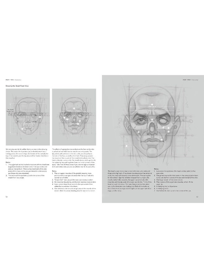 The Anatomy Of Style Figure Drawing Techniques  - Image 5