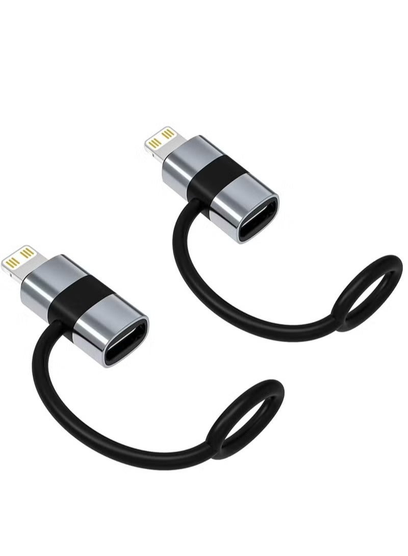 قطعتان من محول USB-C إلى Lightning باللون الفضي، شحن سريع PD بقوة 30 وات، مزامنة البيانات، حلقة مضادة للضياع لجهاز iPhone - Image 1