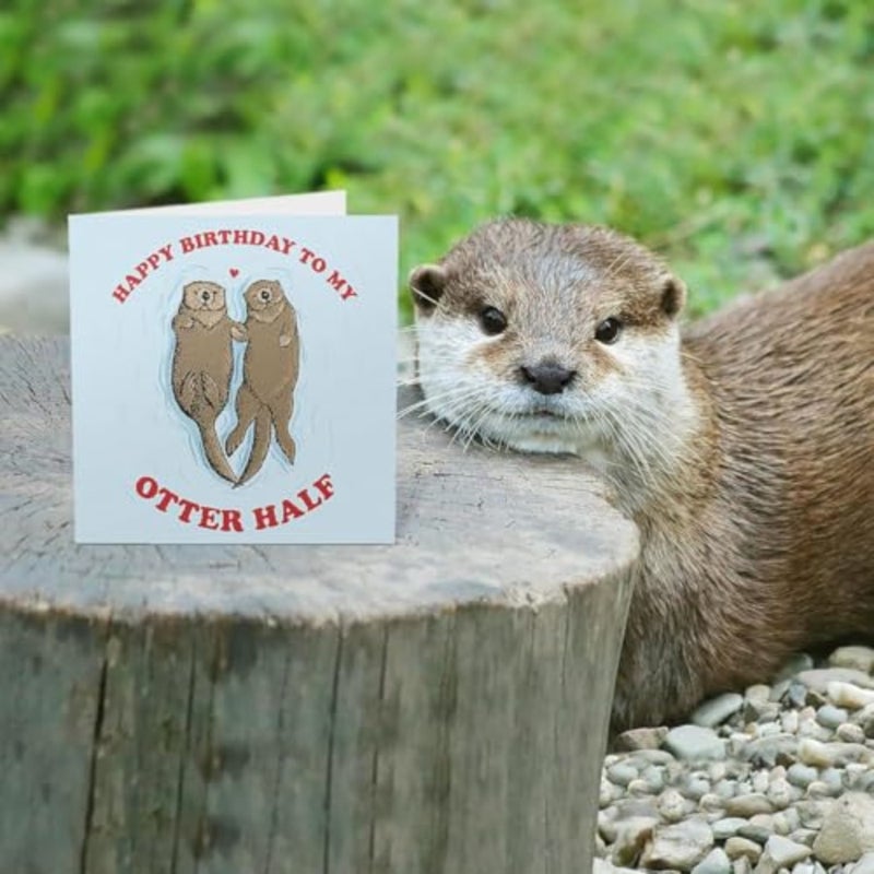 Cute Otter Half Birthday Card Gift for Husband Wife Boyfriend Girlfriend Couple, Romantic Pun Happy Birthday Card For Couple Partner Lover - Image 3
