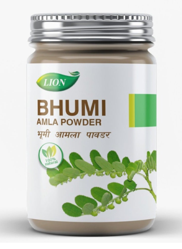 Bhumi Amalki Powder 100gm (Keezhanelli)