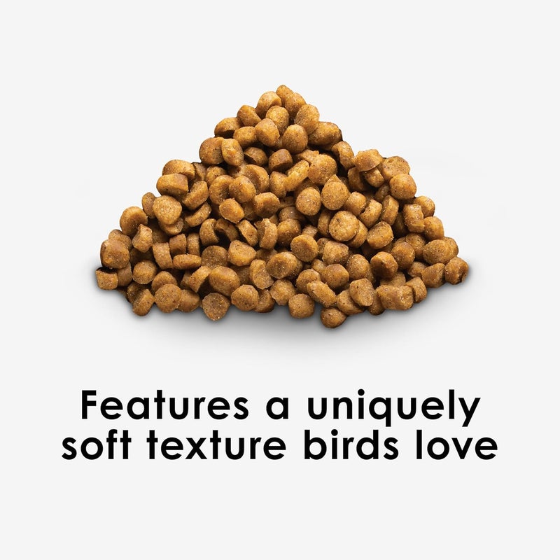 Kaytee Nutri Soft Pet Parrot & Conure Bird Food, 3 Pound - Image 2