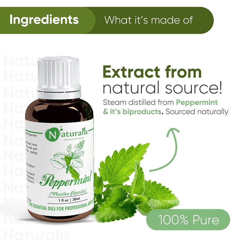 Naturalis Peppermint Essential Oil - Pure Therapeutic Grade Peppermint Oil For Hair, Skin Care, Steaming, Diffuser & Aromatherapy - Soothing Relief - 30Ml - Image 2