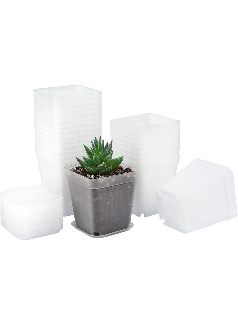25 PCS Seed Starting Pots, 7cm Plastic Nursery Pots Square Plant Pots Fruit Plant Pots Flower Plant Containers Seedling Containers Cutting Transplant Pots Gardening Supplies for Fruit Vegetable Plant (Clear White)