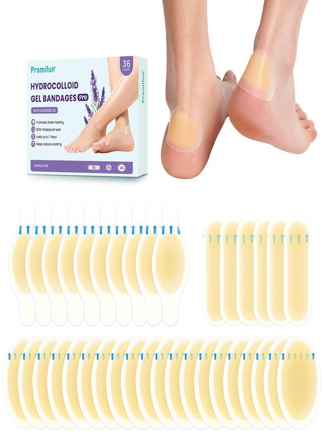 Promifun Better Blister Bandages Pads - Lavender Extract Infused Gel Blister Cushions - 30% Faster Healing - Waterproof Adhesive Hydrocolloid Bandages for Foot, Toe, & Heel (36 ct, Variety Pack - Image 1