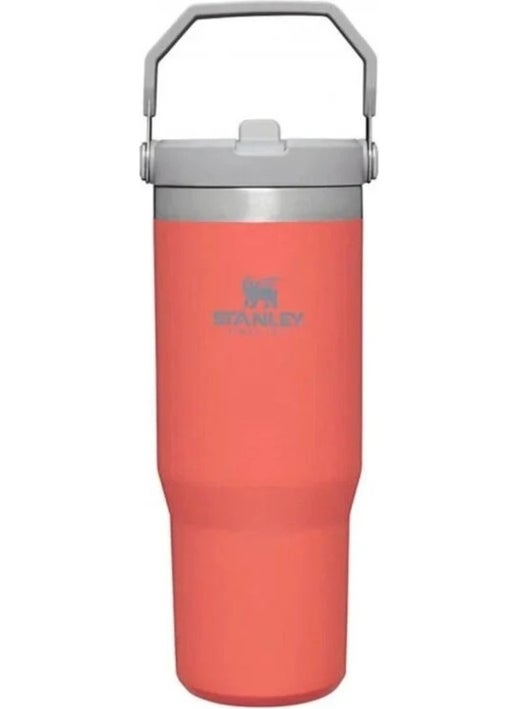 Orange The Iceflow Flip Straw Thermos Cup with Straw 0.89 Lt Drink 12 Hours Chrome Single