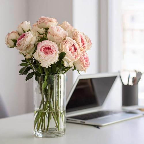 SUPMIND 12pcs Clear Cylinder Vases for Centerpieces, Glass Flower Vases for Wedding Decorations and Home Decor, 6 Inch Glass Hurricane Candle Holder for Table Shelf - Image 5