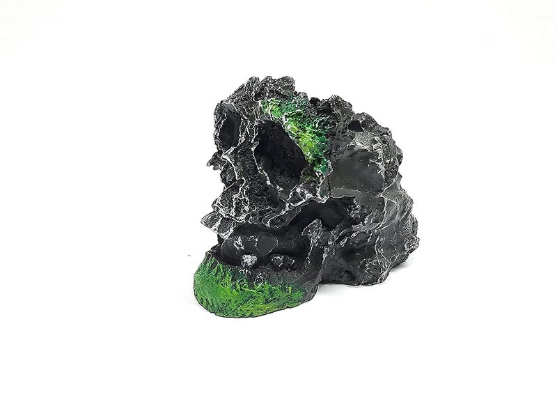 Maalavya Underwater Aquarium Toy/Toys for Decoration Purpose and Hiding Place (Skull Toy) - Image 3