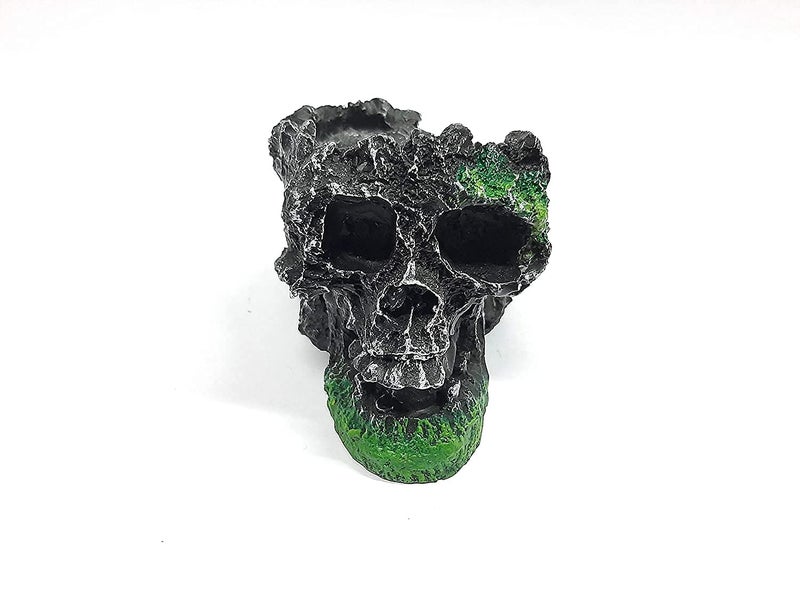 Maalavya Underwater Aquarium Toy/Toys for Decoration Purpose and Hiding Place (Skull Toy) - Image 4