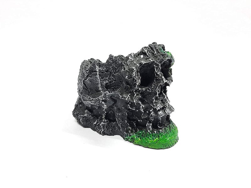 Maalavya Underwater Aquarium Toy/Toys for Decoration Purpose and Hiding Place (Skull Toy) - Image 2