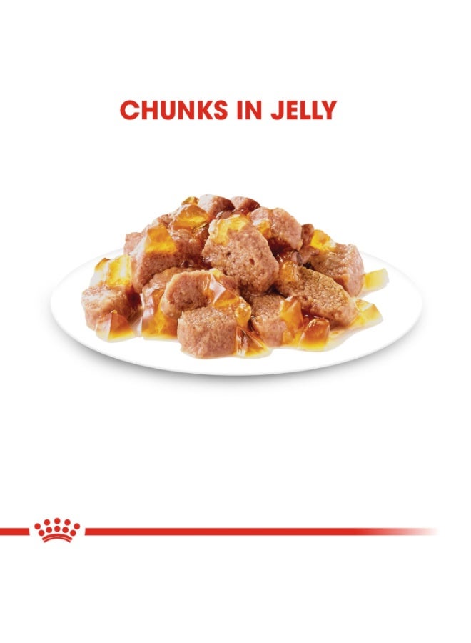 ROYAL CANIN Feline Care Nutrition Hair & Skin Jelly (WET FOOD - Pouches) 12x85g - Image 4