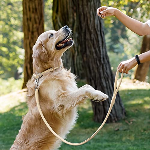 CollarDirect Rolled Leather Dog Leash 6ft, Soft Training Leather Dog Leash for Puppy and Grown Dog Small Medium Large Black Blue Red Orange Green Pink White (Beige, Size S 6ft) - Image 4