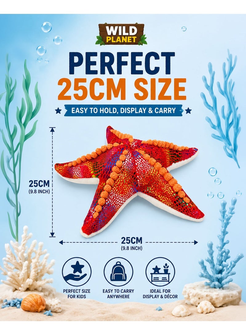 Wild Planet Starfish Plush Toy 25cm Soft Ocean Star Stuffed Animal Plush Cushion Cute Marine Life Doll Decorative Sea Creature Pillow Educational Gift for Kids Boys Girls Bedroom Ocean Theme Collectible - Image 3