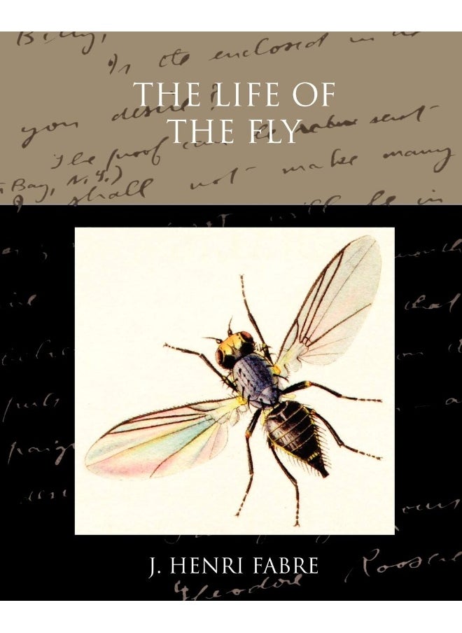 null - The Life of the Fly - Image 1