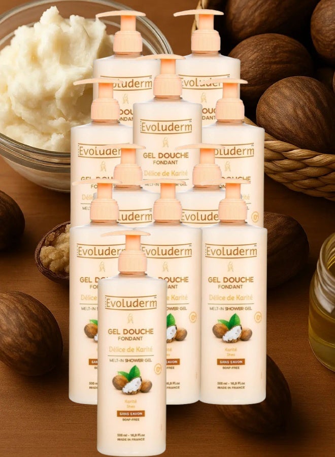 إيفو لوديرم 11 قطع جل الاستحمام إيفولوديرم ديلايت بزبدة الشيا 500مل - Image 1