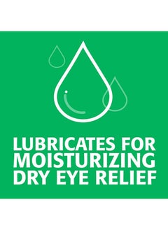 Plus Lubricant Eye Drops, Value Size, 70-0.01 Fluid Ounce (0.4 ml) Containers - pzsku/Z1606F365BEFE3FE25A2CZ/45/_/1715546551/b0942f28-dddd-49e1-b570-b02dcc6e11a0