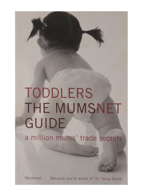 Toddlers The Mumsnet Guide Paperback