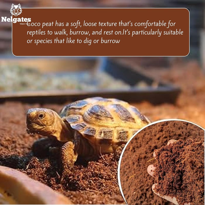 Nelgates Coco peat for Animal Bedding | Reptiles Small Animals Tortoise Python Frog Snake Chicken Rabbit Birds | pet Products pet Supply Indoor & Outdoor 650g - Image 4
