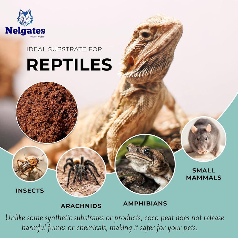 Nelgates Coco peat for Animal Bedding | Reptiles Small Animals Tortoise Python Frog Snake Chicken Rabbit Birds | pet Products pet Supply Indoor & Outdoor 650g - Image 3