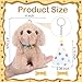 Zealor 44PCS Adopt A Puppy Party Favors 22 Mini Plush Dogs with 22 Pompom Birthday Hats Pet Stuffed Animals Bulk for Operation Christmas Shoebox Gift Adopt a Pet Theme Birthday Party Supplies - Image 4