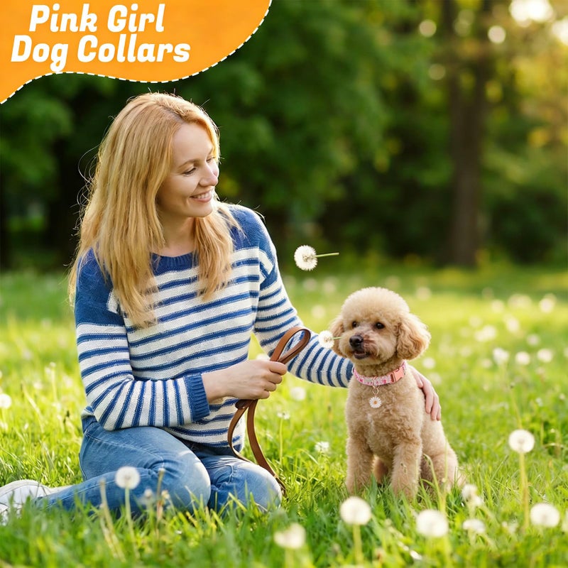 Guiqulai 3 Pack Floral Dog Collars for Small Dogs Flower Dog Collars with Pendant for Girl Female Dogs Cute Puppy Pet Collar - Image 5