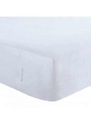 Bed Bug Blocker All-in- one Mattress Cover, Full, White - pzsku/Z160A0AD3E4D6AE74FAA6Z/45/_/1728377801/036dd47c-a14e-4aba-8ea1-41b5be296675