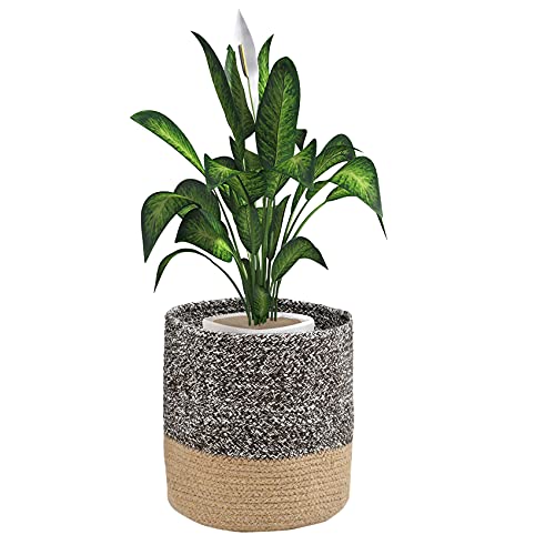 LaVichitra Braided Cotton Baskets | Planter Basket- Set of 2 (6 Inch), Coffee - Image 3