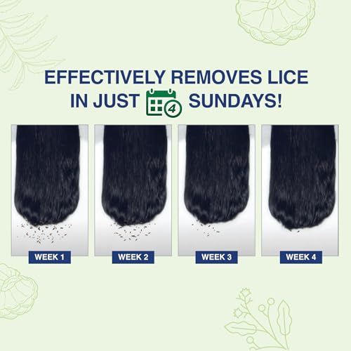 Mediker Anti Lice Combo, Anti lice Shampoo 50ml pack of 2 + Anti lice Oil + Lice Comb, 150 ml, Effective painless way of Lice removal, 100% Natural active with Coconut, Safe for kids - Image 4