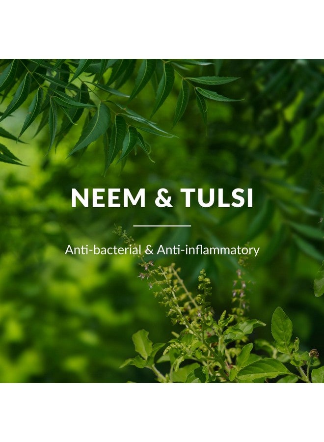 LOTUS BOTANICALS Neem, Tulsi & Salicylic Acid Anti-Acne Purifying Face Gel | Helps Prevent Acne & Pimples | Helps Reduce Skin Redness & Inflammation | No Parabens | Suitable For Acne Prone Skin | 50G  - Image 2