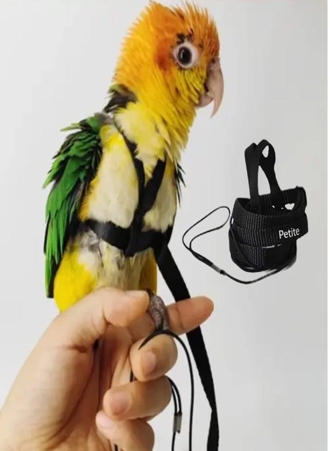 Barn Eleven Adjustable Bird Harness with 78.7 Inch Leash, Outdoor Flying Training Rope Kit for Bird Parrots, Parrot Flying Rope Straps Outdoor Training Traction Rope for Small Medium Large Size Birds (Petite) - Image 1