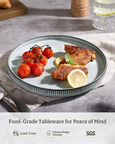 famiware Star Salad Plates for 6, 8 inches Plate Set, Stoneware Dinnerware, Small Dinner Plates for Dessert, Salad, Appetizer, Smoky Blue - Image 5