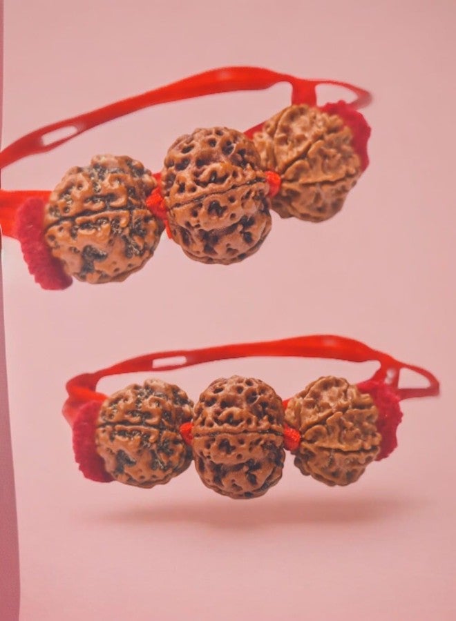 UROOH Original Nepal Certified Rudraksha Kavach Necklace, 6-4-7 Mukhi Indonesian Combination - Image 3