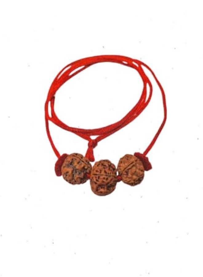 UROOH Original Nepal Certified Rudraksha Kavach Necklace, 6-4-7 Mukhi Indonesian Combination - Image 1