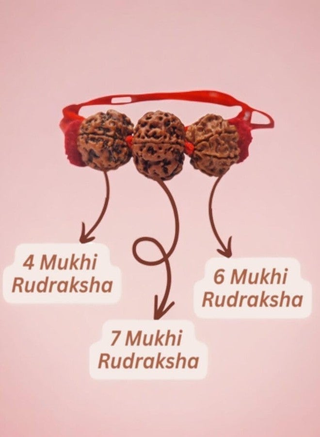 UROOH Original Nepal Certified Rudraksha Kavach Necklace, 6-4-7 Mukhi Indonesian Combination - Image 2