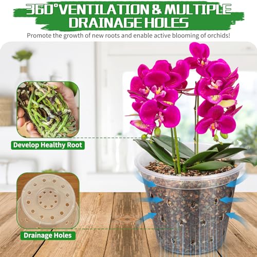 FUIJOL Small Orchid Pots, 8 Pack Orchid Planter with Holes, Clear Plastic Pots Indoor Outdoor, Slotted Orchids Planter (3 Inch) - Image 2