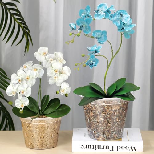 FUIJOL Small Orchid Pots, 8 Pack Orchid Planter with Holes, Clear Plastic Pots Indoor Outdoor, Slotted Orchids Planter (3 Inch) - Image 4