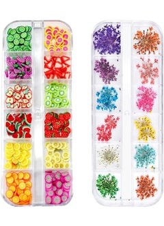 Sinen 1 Box Dried Flowers and 1 Box Fruit Slices for Nail Art, 3D Dry Flowers Nail Stickers ,Colorful Natural Real Flower Nail Decals, Fruit Fimo Slices Charms Nail Art Supplies Slime Accessories for 