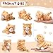 Leitee 16 Pcs Cat Stuffed Animals Bulk Party Favor 5 Inch Kitten Plush Toy Assorted Cute Cat Plush Stuffed Gift Small Fluffy Animal Toy for Birthday Adopt Pet Classroom Party FavorLovely Style - Image 4