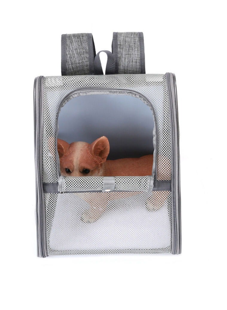 NKX Pet Backpack Carrier for Small Cats Dogs | Ventilated Design, Safety Straps, Buckle Support - Image 4