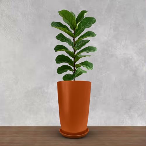 BonKaso 12 inch Copper Flower Pot (Pack of 2) | Size: 20x20x28 cm | Tall, Durable & Lightweight Polymer Tower Planter for Indoor & Outdoor Use: Home, Office & Balcony (Gamla/Gamale) - Image 5