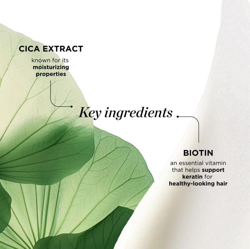 Dr.Groot Dr. Groot Scalp Revitalizing Shampoo with Biotin, Centella, and Prebiotics - Moisturizing Korean Kbeauty Solution for Dry Scalp - Image 4