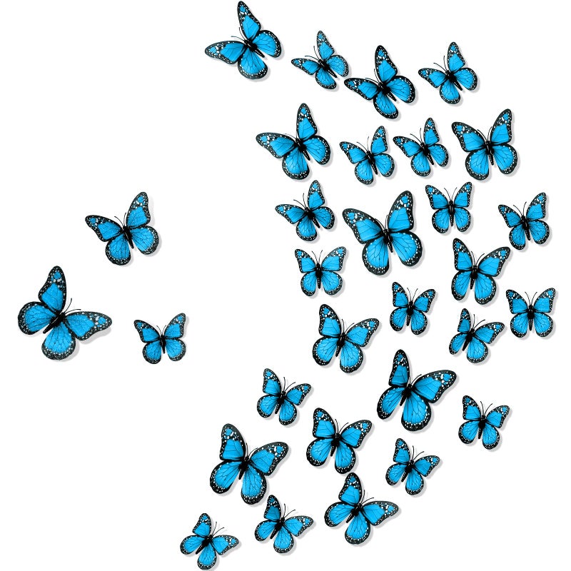 Chuangdi Monarch Butterfly Decoration 3 Size Fake Butterflies Realistic Butterfly Crafts Artificial Butterfly Wall Decor for Classroom Home Bedroom Birthday Party Decorations(Blue  48 Pack) - Image 1