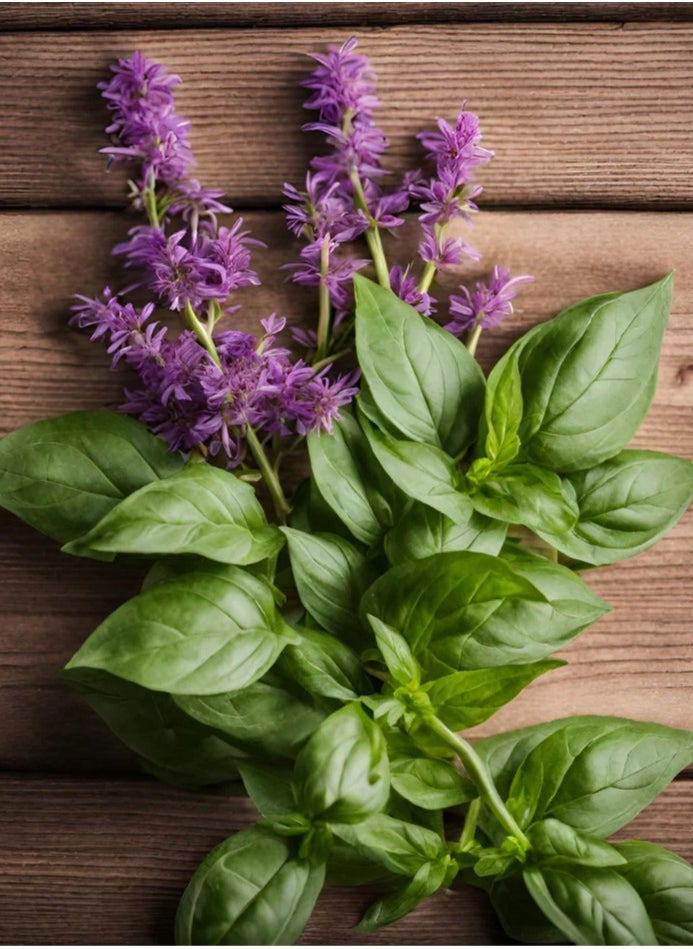 GROW - Basil Sweet Thai seeds - Image 1