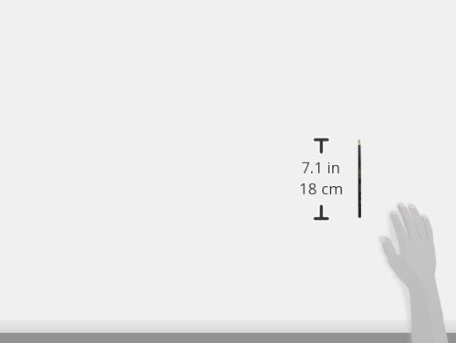 STABILO All Colored Pencil For Film & Glass, Black - Image 3