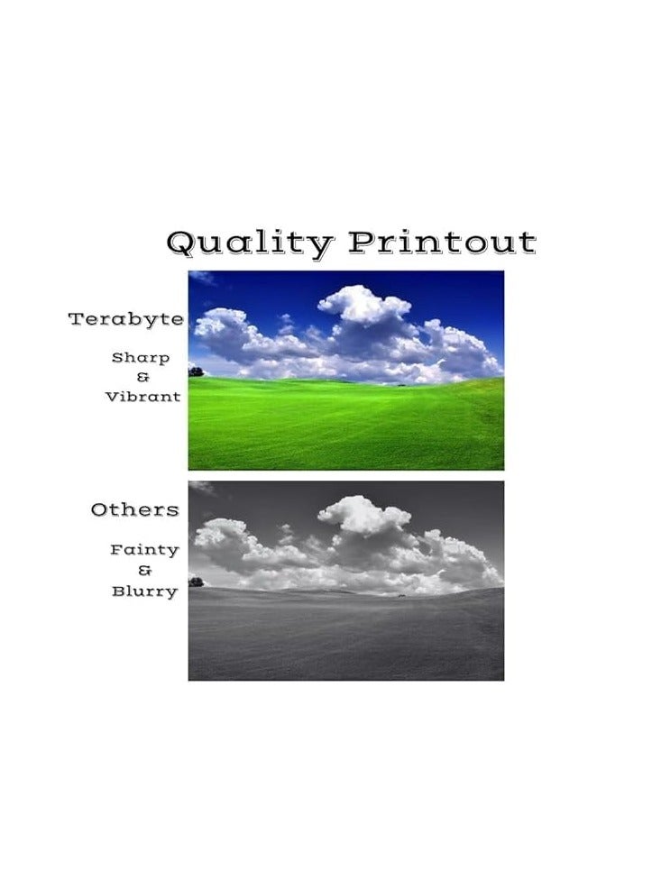 Terabyte 201A CF400A (M/Y/C/B) Toner Cartridge 201A CF400A CF401A CF402A CF403A Compatible For HP Canon LaserJet Pro M252 MFP M277 MF632Cdw (201A / CF400A / CF401A / CF402A / CF403A) - Image 3