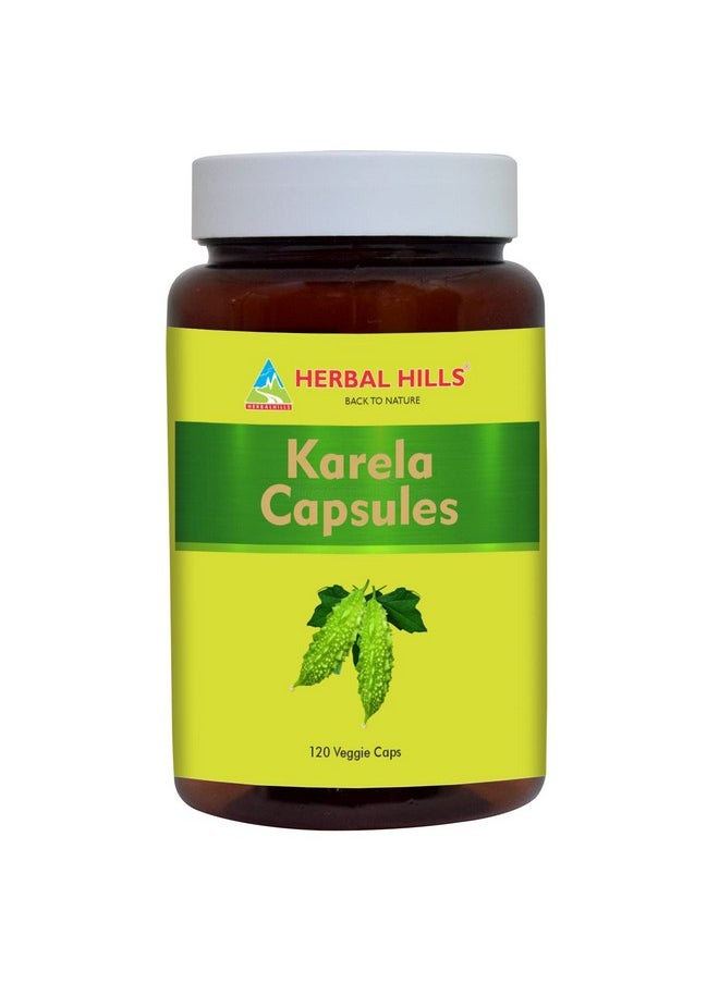 HERBAL HILLS HERBAL HILLS Bitter Melon/Bitter Gourd/Karela Capsules (Momordica Charantia) | 120 Count (900 mg) | Best for Eye & Skin Health  - Image 1
